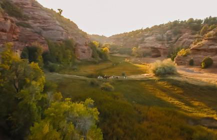 Luxury 3BR in Upscale Neighborhood Pet Friendly - Foto 58