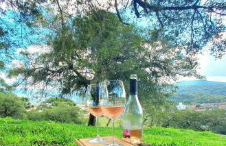 Cabana Canto Lindo - Urubici - SC - Foto 56