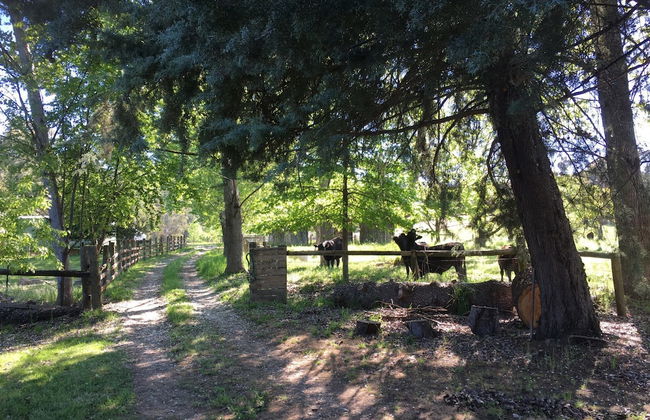 The Grange Homestead - Foto 39