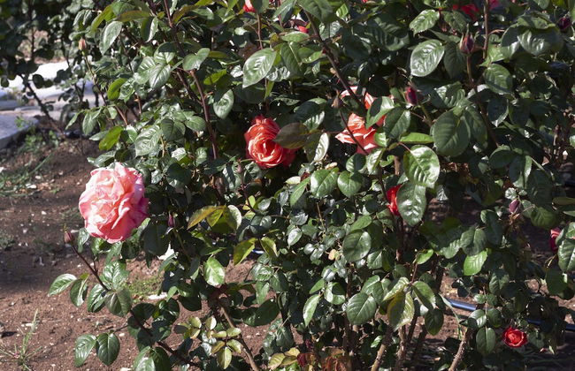 Quarto di Monte Suite & Spa - Photo 37