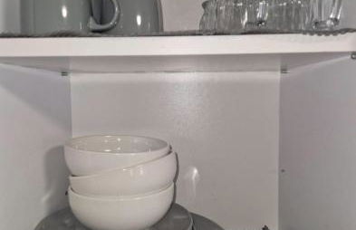 Laubach Apartments - Photo 6