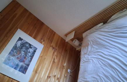 Les Isards Pied des pistes - Foto 9