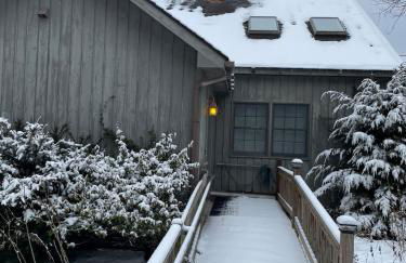 Bear Pass - Mountain View 4 Bedroom Home by RedAwning - Foto 64