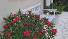 KUĆA U PRIRODI LI - Photo 5