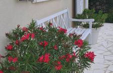 KUĆA U PRIRODI LI - Foto 5