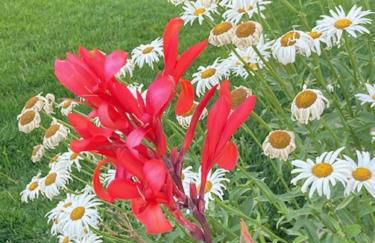 La Ren Lecrés Apartamento piscina jardin - Photo 23