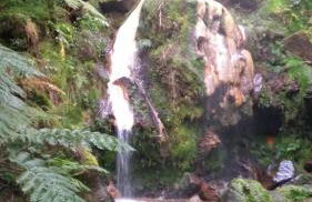 Character 2BR Upper Retreat with BBQ Terrace Parking - Photo 85