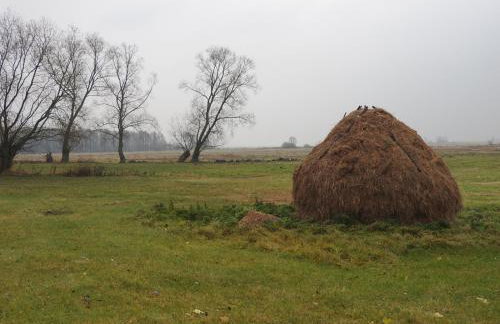 Agroturystyka Biebrzańska Kraina - Foto 49
