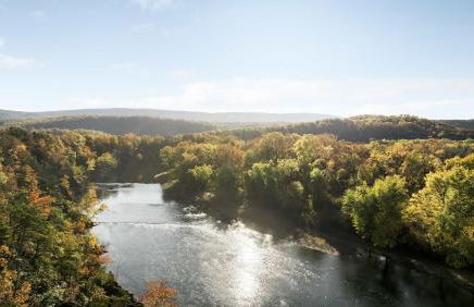 Riverfront Log Cabin w Fireplace Grill & Fire Pit - Foto 42