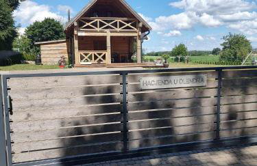 Hacjenda u Olendra - Foto 29