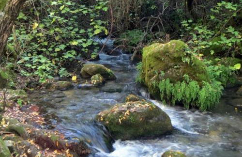 Casa González - Foto 4