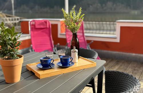 Terrassenwohnung mit Donaublick - Foto 16