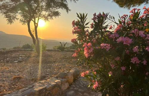 Λαγκάδι Μάνης - Foto 34