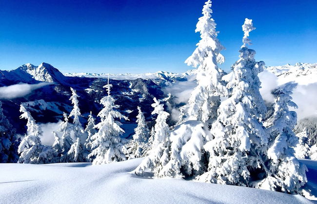 Cozy Chalet With Amazing Mountain Views Ski-in, Ski-out, Trailheads - Foto 25