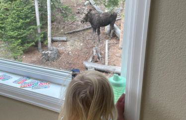 Mountain View Family Cabin, Pet Friendly and Hot Tub - Foto 2