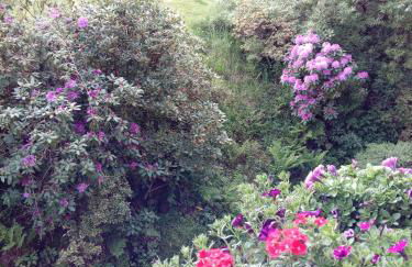 Ferienwohnung Schmallenberg - Foto 40