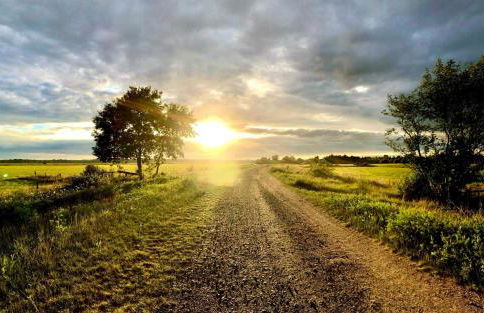 Ferienwohnung Worpswede am Berg - Foto 11