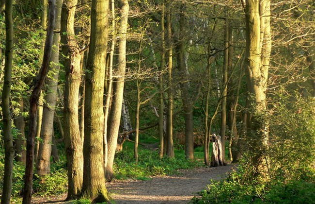 Wimbledon Holiday Lets - Foto 36