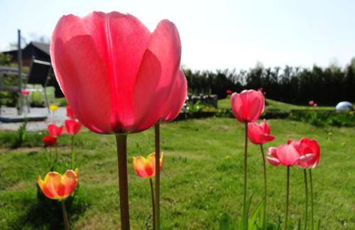 Ferienhaus Kamerun an der Elbe - Foto 79