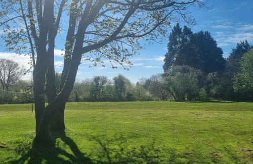 Woodland Lodge, Llanteglos Estate - Foto 13