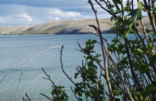 Apartments Šime - Foto 43