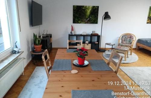 exklusives lichtdurchflutetes Apartment incl Gästegarten umzäunt - Foto 13