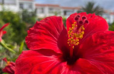 Saltflat2, be surrounded by sun, water and peace - Foto 59