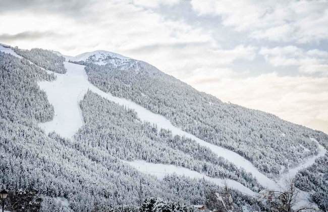 Apartamentos Prat De Les Molleres - Foto 25