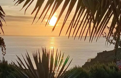 Gertrudes Dream House - Foto 34