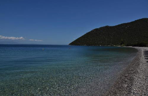 Manto Studios - Photo 51