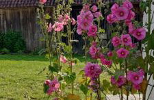 Dom Podróżnika -aktywne wakacje - Foto 19