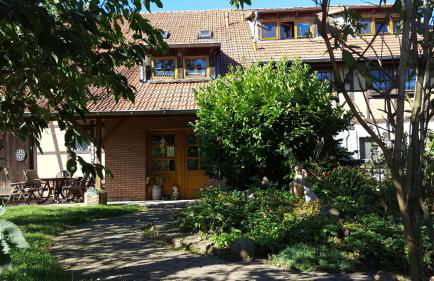 Familienferienhof Sell´s Scheune - Foto 11