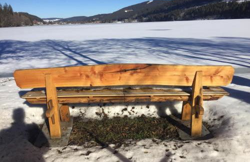 Titisee Haus Vogelnest - Photo 28