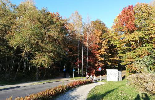 Apartament Familijny - Foto 48