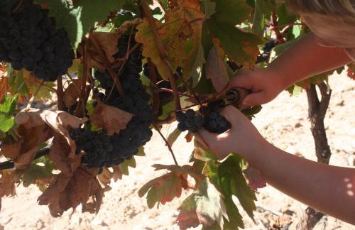 Apartamento Turístico Cigüeña de Alfaro - Foto 26