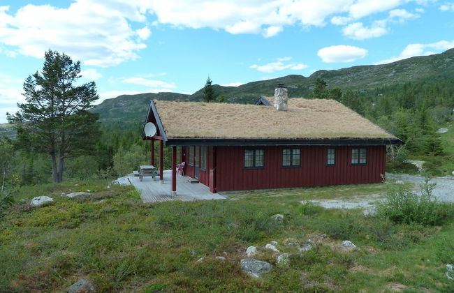 Furulie Cabin - Flå - Foto 21