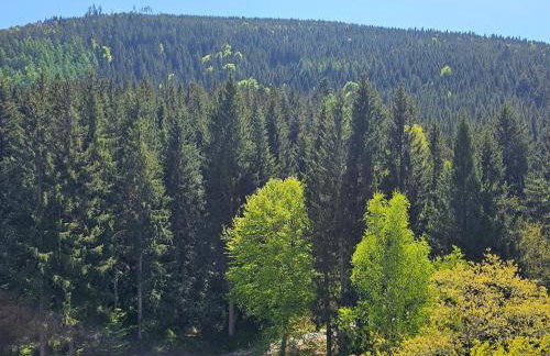 Ferienwohnung Tannenballett mit Panorama über den Schwarzwald in Baiersbronn - Foto 11