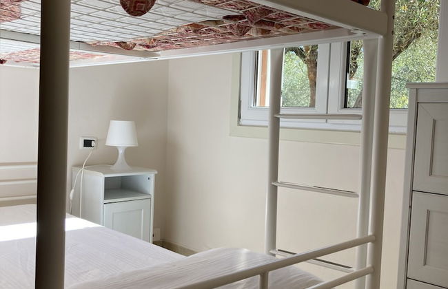 Buen Camino SSA - Foto 6