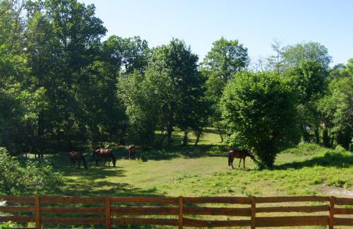 Villa Ulinia - Photo 21