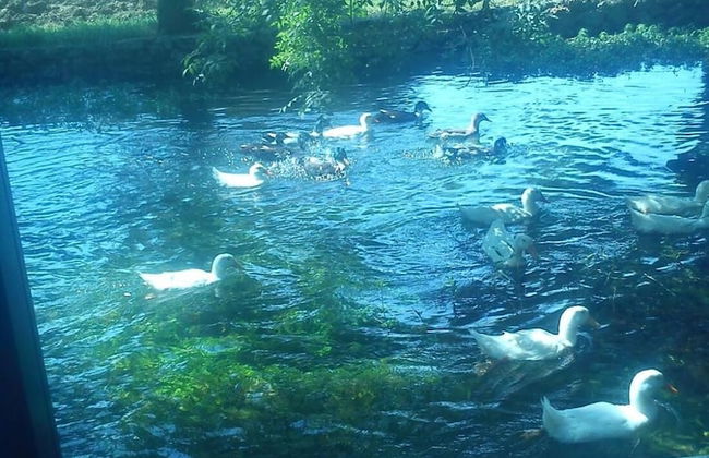 Vacation House Dunja - Foto 33