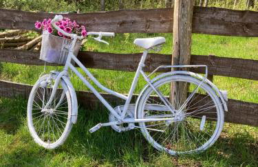 Dom w Sąpach - Foto 69