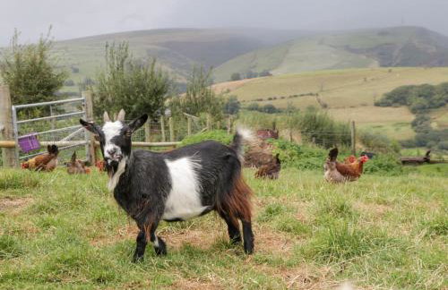 Caner Bach Lodge - Foto 33