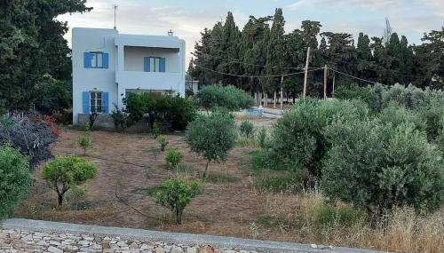 Villa Stevi - Foto 3, Garden view