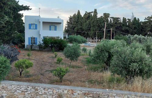 Villa Stevi - Photo 3