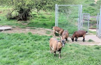 Ferienwohnung/Monteurzimmer auf dem Bauernhof - Foto 24