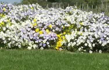 Appartamento Filippo - Foto 18