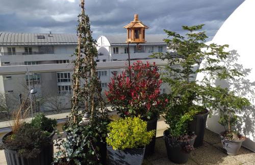 Sur les toits d'Orléans - Foto 1