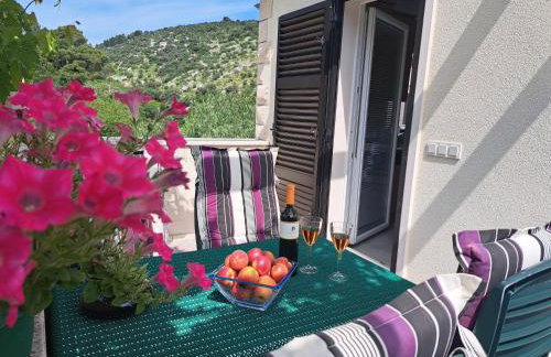 Apartments DARIJA & PERO - Foto 76