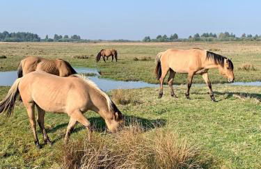 Maison spacieuse avec jardin et feu de bois et parking gratuit pour 3 voiture - Foto 19
