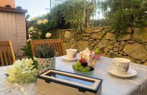 Il Grillo sull'Olivo - Foto 13